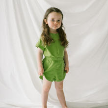 Load image into Gallery viewer, Green Day Set